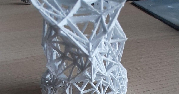 hibou faible poly filaire Merlin 3D modèles monde scans animaux animal 3d print model - Mito3D