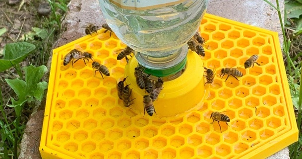 remix 176mm awesome bee feeder davidp 3D Models Household Outdoor & Garden beefeeder bees beesupplies garden 3d print model - Mito3D