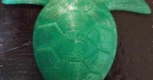 mar tartaruga ruim 3D modelos mundo varreduras animais marinha thingiverse 3d print model - Mito3D