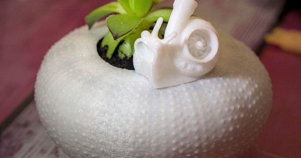 sea urchin planter piezo  3D Models  Household  Outdoor & Garden planter seaurchin urchin thingiverse  3d print model - Mito3D