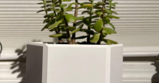 esagono pianta pentola dawnbringer6 3D Modelli domestico all'aperto giardino piante scrivania esagonale interno Introorplanter 3d print model - Mito3D