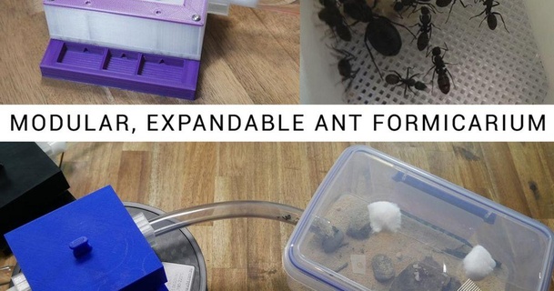 modüler genişletilebilir karınca Formicarium öğretim teknolojisi 3D modeller ev halkı Evcil Hayvanlar karıncalar şeytani 3d print model - Mito3D
