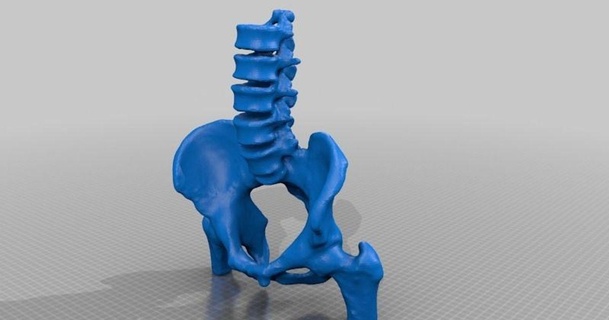 bacino sjpiper145 3D Modelli apprendimento chimica biologia anatomia ossatura educativo 3d print model - Mito3D