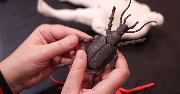 böcek Prusalab 3D modeller öğrenme dokunsal 3d print model - Mito3D