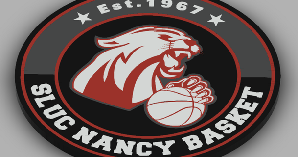 iş Nancy sepet logo anahtarlık youpak 3D modeller Sanat tasarım 2D tabaklar logolar Basketbol basketbollogosu mmu2 renkli 3d print model - Mito3D