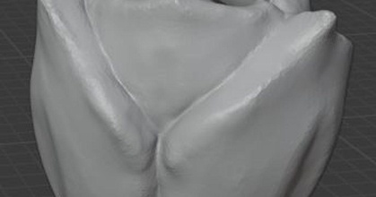 tulipa comerciante baixar livre stl modelo printablescom 3d modelos arte Projeto esculturas 3d print model - Mito3D
