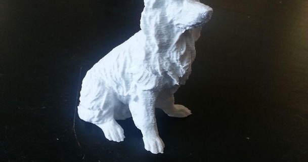 frontera collie perro chico 3D modelos mundo escaneos animales thingiverse 3d print model - Mito3D