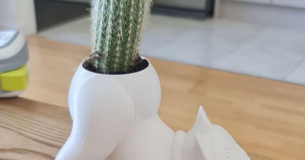 cat cactus pot cq 3D Models Household Outdoor & Garden cactusplanter cactuspot flowerpot plantpot 3d print model - Mito3D