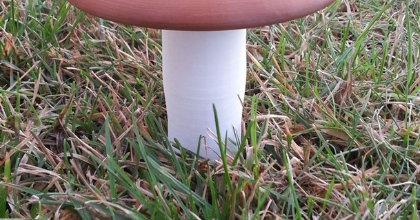 mushroom container mroek 3D Models Toys & Games Outdoor thingiverse 3d print model - Mito3D