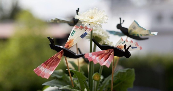 farfalla i soldi regalo dono denaro Stampa pensare 3D Modelli arte design disegni laurea breve banconota carina libellula 3d print model - Mito3D