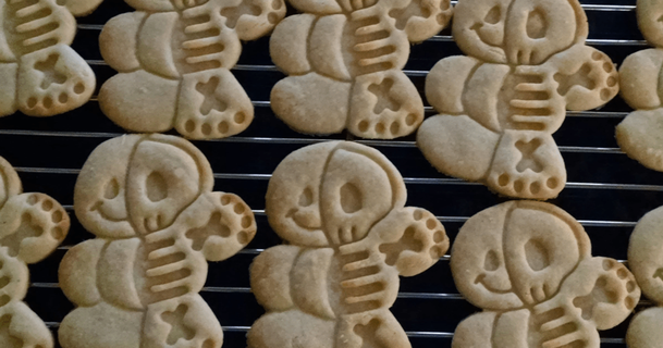 pain d'épice homme squelette biscuit coupeur Olivier 3D modèles loisir fabricants idées biscuits Halloween 3d print model - Mito3D