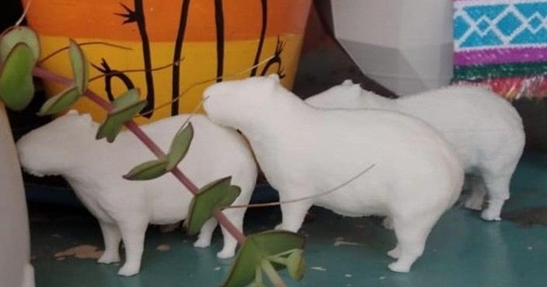 Capybara porte clés quimey Quintana 3D modèles art conception dessins 3d print model - Mito3D