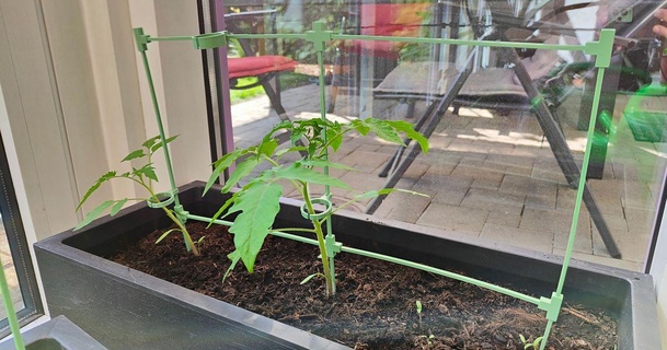 Tomate Pflanze Unterstützung Fabian 3D Modelle Haushalt draussen Garten Pflanzen Tomaten 3d print model - Mito3D