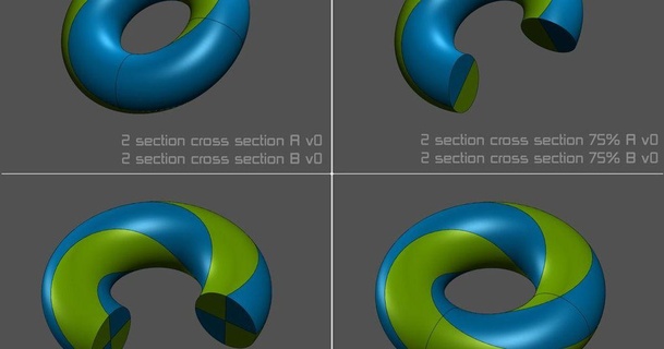 dual Materiale toro spirale attraversare sezione savagerdent 3D Modelli stampanti test mobius 2colure 2material dualstrusion estrusore 3d print model - Mito3D
