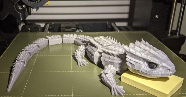 Drücken Augen red eyed Krokodil skink pitterpatterpete 3D Modelle Welt scannt Tiere Eidechse Augapfel 3d print model - Mito3D