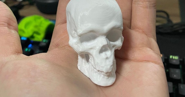 skull sculpt marcelo chaves 3D Models Art & Design Other Designs skulls 3d print model - Mito3D