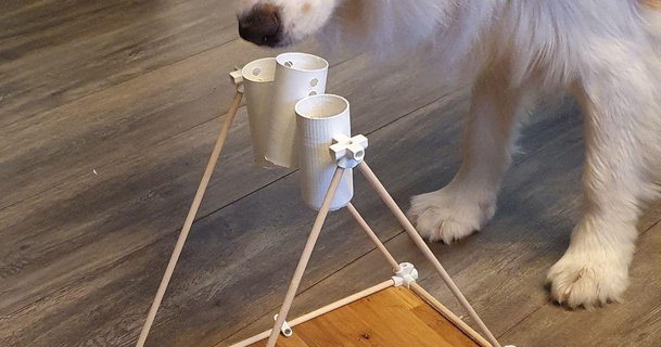chien puzzle tasse doginabox 3D modèles Ménage animaux domestiques jouets chiens jouet entrainement 3d print model - Mito3D