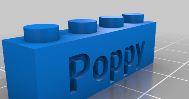 poppy lego compatible text bricks stevvie 3D Models Art & Design 2D Plates Logos thingiverse customized 3d print model - Mito3D