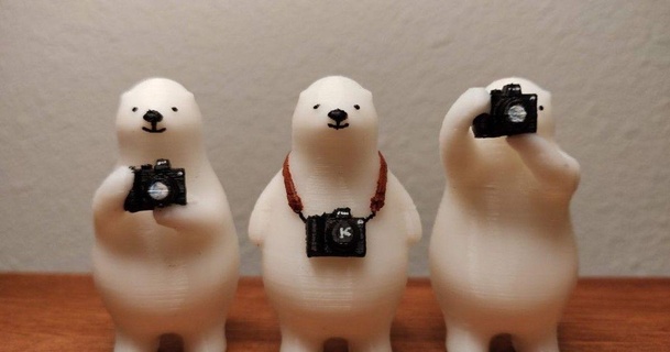 kumaty camera polar bears takman29 3D Models World & Scans Animals mirrorless fujifilm photography nikon canon 3d print model - Mito3D