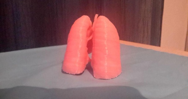 pulmões 3d bea res 3D modelos Aprendendo química biologia modelo corpo anatomia thingiverse desafio criado 3d print model - Mito3D