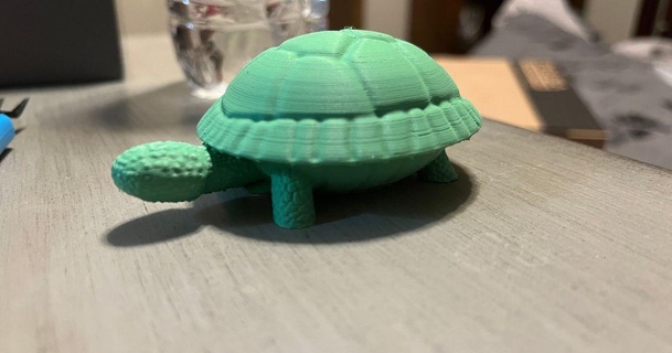 tartaruga xiaotiano stampe 3D Modelli mondo scansioni animali 3d print model - Mito3D