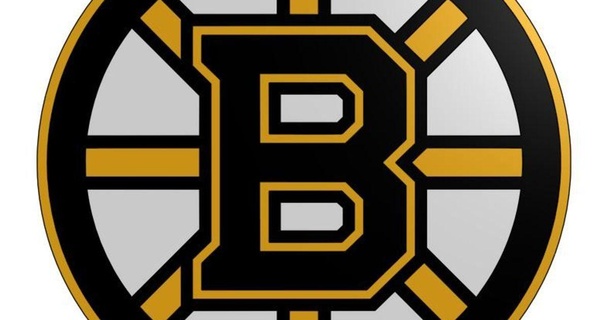 Boston Bruins Logo dumme Gans 3D Modelle Kunst Design 2D Platten Logos Zeichen Eishockey nhl 3d print model - Mito3D