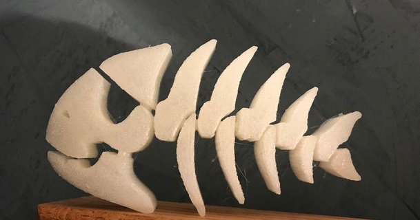 osso peixe Jeff Lundström 3D modelos Esportes ar livre pescaria thingiverse 3d print model - Mito3D