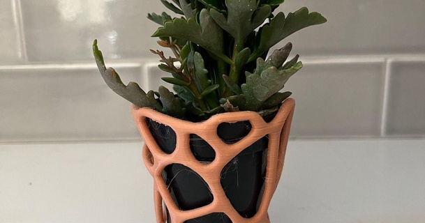 voronoi flower pot charmed electron 3D Models Household Outdoor & Garden planter succulent flowerpot succulentpot 3d print model - Mito3D