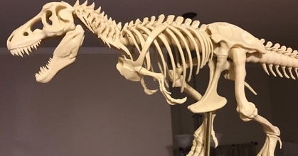 t-rex skeleton fixed printable icefox download free stl model printablescom 3d models world & scans animals bone bones dinosaur fossil fossils 3d print model - Mito3D