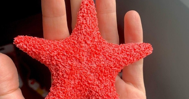 textured starfish dajanka3d 3D Models Art & Design Other Designs 3d print model - Mito3D