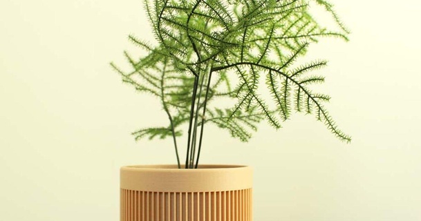 moderno plantador jimmy3d 3D modelos casa ar livre jardim 3d print model - Mito3D