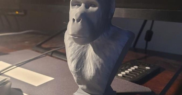 realista mono busto matro3d 3D modelos Arte diseño esculturas America escultura selva 3d print model - Mito3D