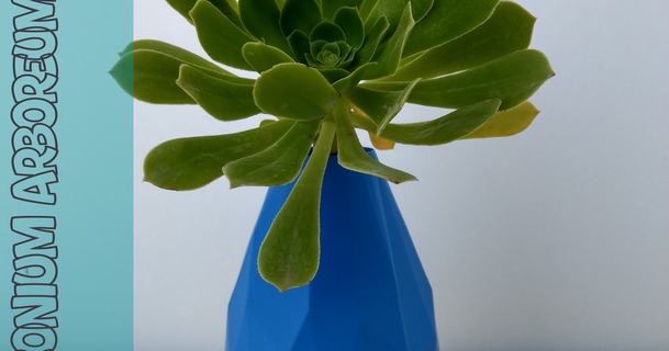 potb 08 3dcua 3D modeller Sanat tasarım tasarımlar tencere bitki saksısı Maceta sulu kap 3d print model - Mito3D