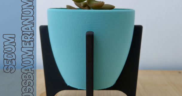 potb 10 3dcua 3D Modelli arte design disegni pentola vaso fioriera succulento 3d print model - Mito3D