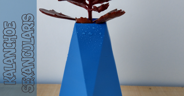 potb 41 3dcua 3D modeller Sanat tasarım tasarımlar tencere bitki saksısı saksı sulu kap 3d print model - Mito3D