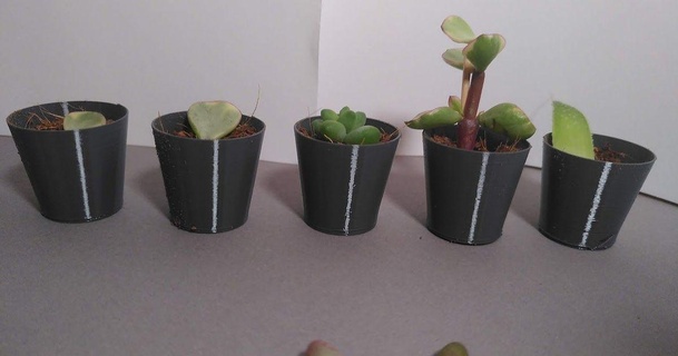 Vase Modus saftig Vermehrung Pflanzer Pirasp 3D Modelle Haushalt draussen Garten Vasemode spiralvasemode Sukkulenten 3d print model - Mito3D