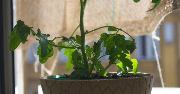 honeycomb planter 2 unwohlpol 3D Models Household Outdoor & Garden pot flowerpot thingiverse planters 3d print model - Mito3D