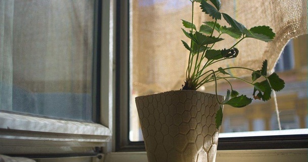 Favo fioriera 1 palo scomodo 3D Modelli domestico all'aperto giardino pentola vaso fiori 3d print model - Mito3D