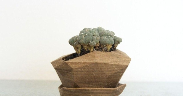 fioriera 3 palo scomodo 3D Modelli domestico all'aperto giardino pentola lowpoly cactus vaso fiori 3d print model - Mito3D