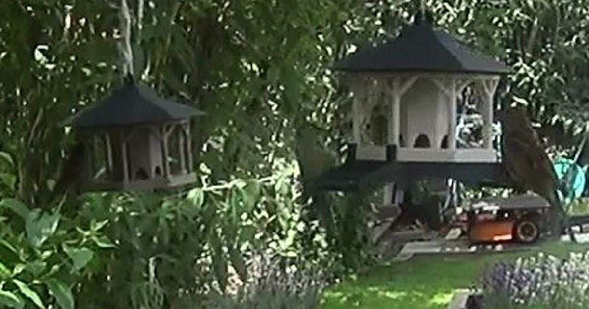 expansão plataforma pássaro alimentador merandey https 22982 bird feeder plex41 3D modelos casa ar livre jardim Casa passarinho pássaros 3D print model - Mito3D