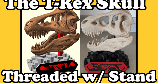 t-rex skull threaded w stand iqless 3D Models Learning Other Objects for dinosaur trex 3d print model - Mito3D