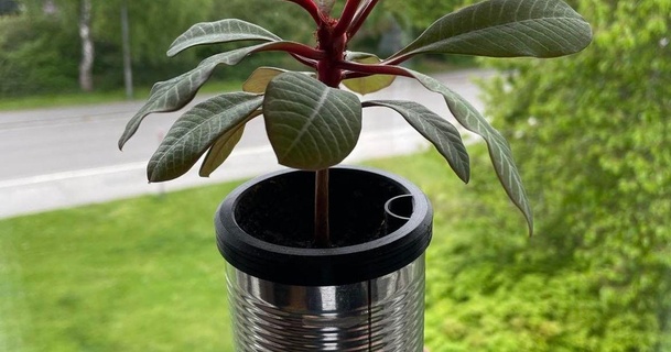 self-watering planter eu steel berntzone 3D Models Household Outdoor & Garden pot water plant selfwatering 3d print model - Mito3D