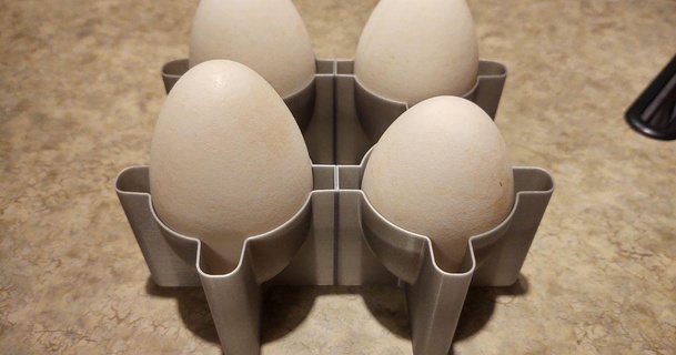 goose egg crate carton quinn 3D Models Household Outdoor & Garden eggs thinkgoose geese 3d print model - Mito3D