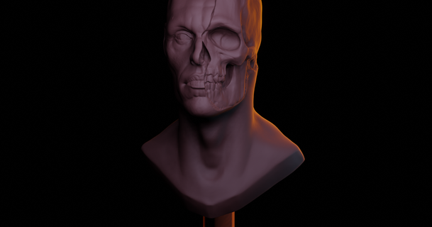 bust study marcelo chaves 3D Models Art & Design Sculptures skull sculpture busts 3d print model - Mito3D