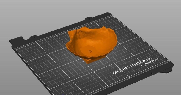 mare conchiglia sapone piatto argirob 3D Modelli domestico bagno mare sapone piatto conchiglia 3d print model - Mito3D