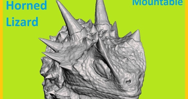 lizard uwcharlie1983 3D Models World & Scans Animals dragon wall pet head animal 3d print model - Mito3D