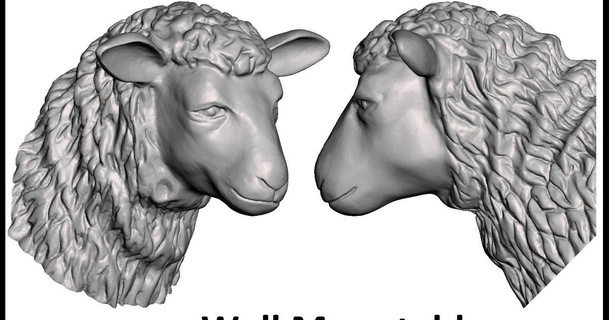 oveja uwcharlie1983 3D modelos mundo escaneos animales pared mascota cabeza animal busto 3d print model - Mito3D