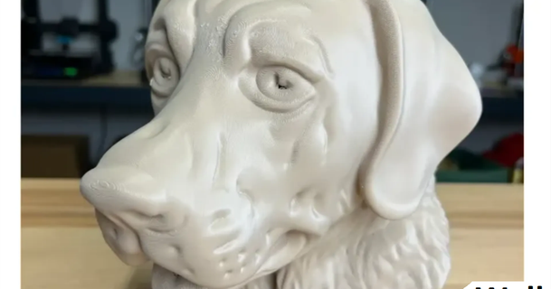 labrador retriever uwcharlie1983 3D Models Household Pets wall dog pet head animal 3d print model - Mito3D