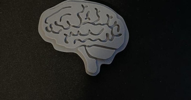 cérebro peso papel staitz 3D modelos aparelhos porta 3d print model - Mito3D