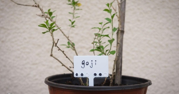 planta maceta marcador 3000 pájaro cr atif 3D modelos casa aire libre jardín etiquetas plantas 3d print model - Mito3D